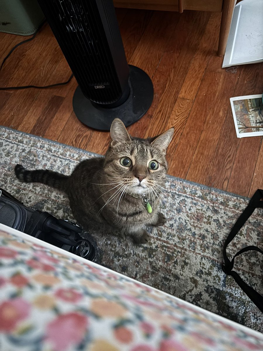 scrunklyrufus's tweet photo. oh hello there https://t.co/69uGyyFSnk