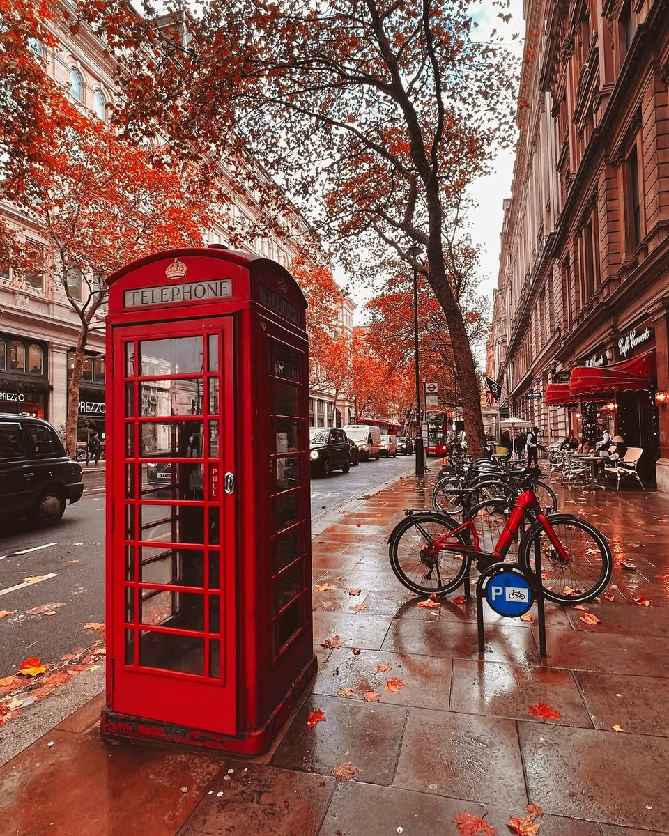 WildscapeWonder's tweet photo. London England 🏴󠁧󠁢󠁥󠁮󠁧󠁿 https://t.co/6NbCutmQCx