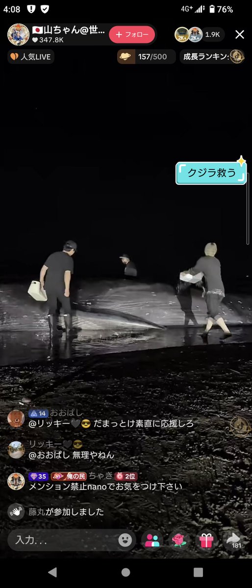 774__420's tweet photo. @chimm_13_ 千葉とかだった🤔
クジラ見にいっぱいきてた！ https://t.co/HAnUxJx7Ti