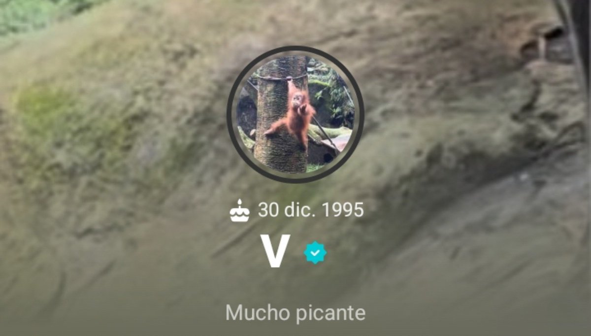 nmjoonbg7's tweet photo. Se les dijo,cada vez que le tiran a México,sacan algo sobre México JAJAJA 
VIVA MEXICO CARAJO 🇲🇽🫂 https://t.co/lVPBA8Ghcv