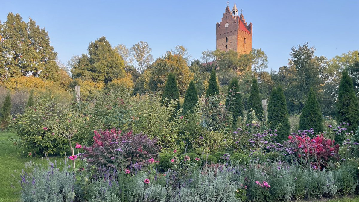 teodor_dziadek's tweet photo. Ogród w barwach jesieni czaruje 🥰🏡🍂🍁🌺#mygarden #lubuskie https://t.co/VpBv9GnpkP