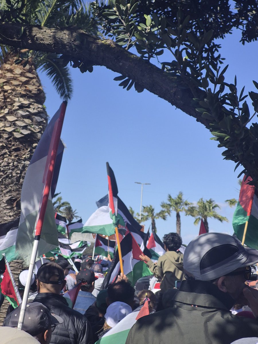 Carenlouisefalc's tweet photo. Cape Town now. #FreePalestine https://t.co/Z7r2MtTgVn