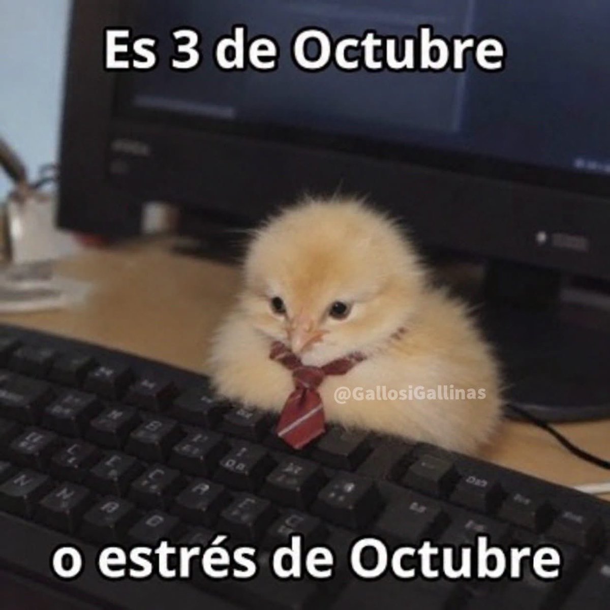 ElJeringasLoko's tweet photo. https://t.co/4aIZMRQ42H