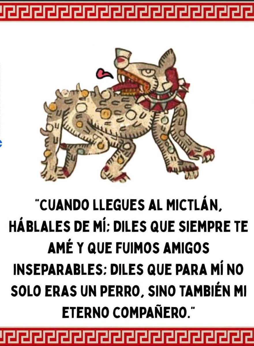 ReyCuervo1's tweet photo. Eres el mas mejor,  MUCHAS PULGAS 😊🐶 https://t.co/f5fK93nBut