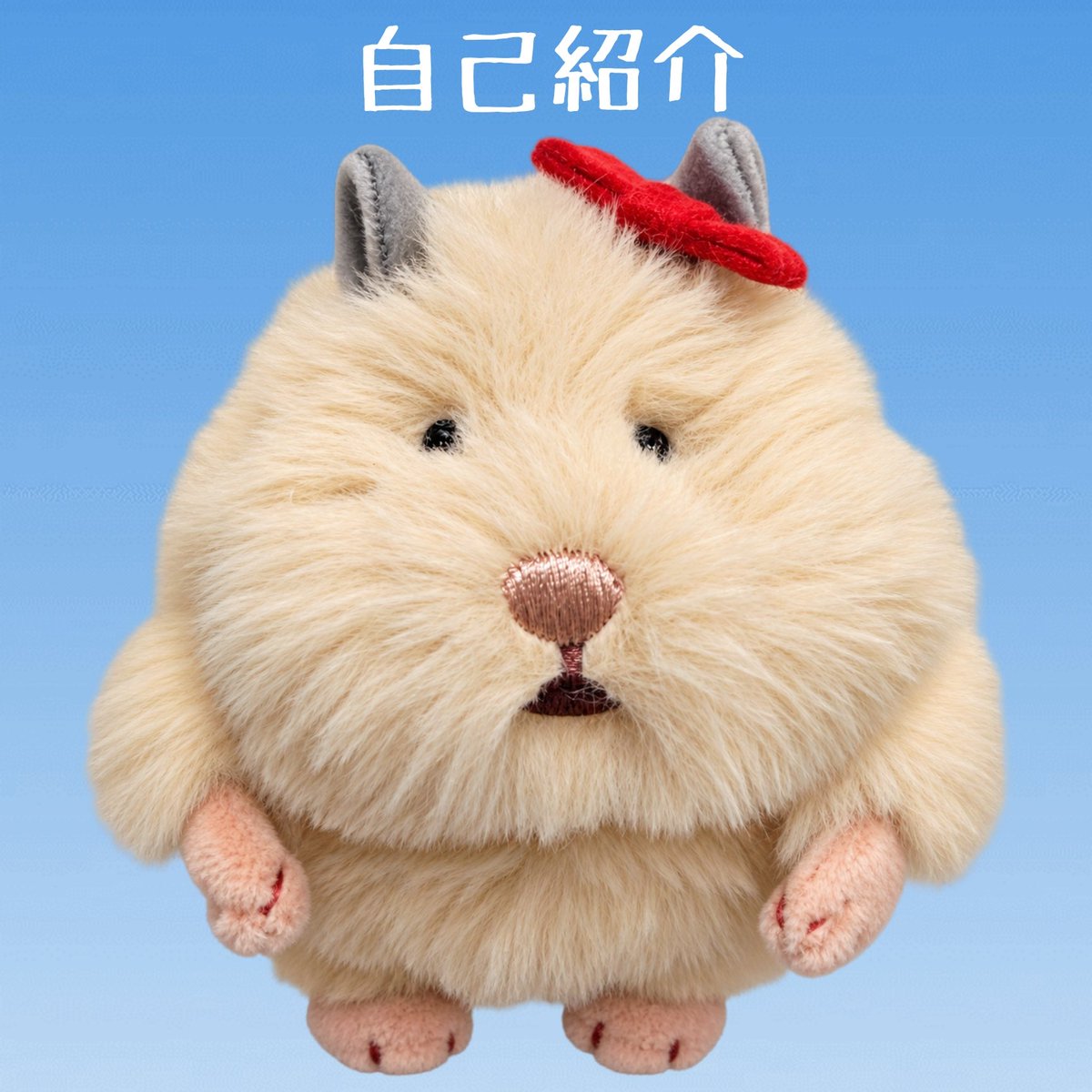 hamu_tamami's tweet photo. ☆自己紹介☆
はじめまして⭐
ハムスターのたま美です。

私はお出かけとおしゃれが大好き。
親友のぴよ子もたまに登場します🐣

こんな私をどうかよろしく🫝

#はむにぎり #ぬい活 #ぬい撮り https://t.co/kJl4cjMg0s