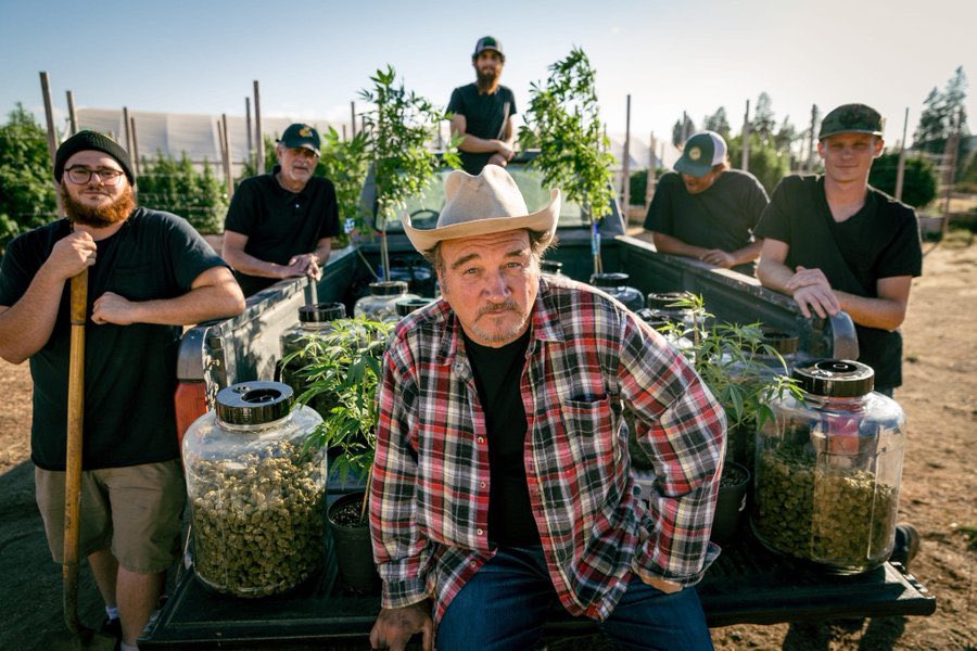 BelushisFarmorn's tweet photo. Hey Stoners! Take advantage of our ongoing promotion now!!
Just $700 a pound and we ship all over the United States and Europe. Send us a DM and ask for a menu to order. https://t.co/MRAiAVwyPY