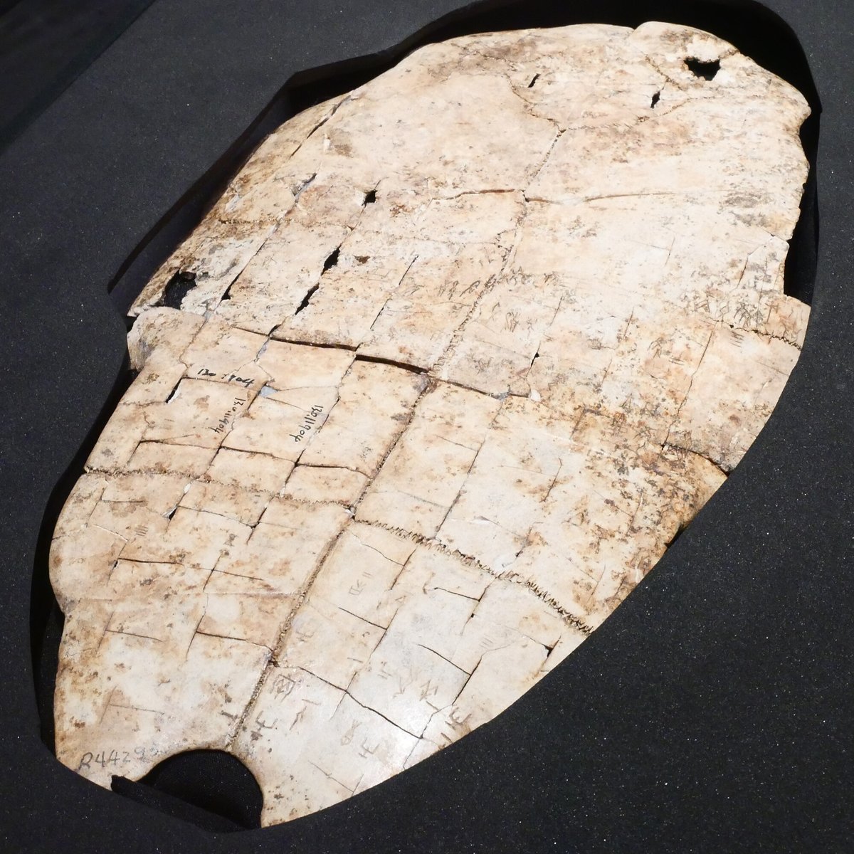 timewave2's tweet photo. Shang oracle bones from 1300 BC carry the solar year at 365 and a quarter and the lunar month at 29 and a half, while the same court ran its books on 12 months of 30. Two clocks on purpose, centuries before King Wen. The I Ching grew up in a house that kept double books. https://t.co/PTz5Eeda34
