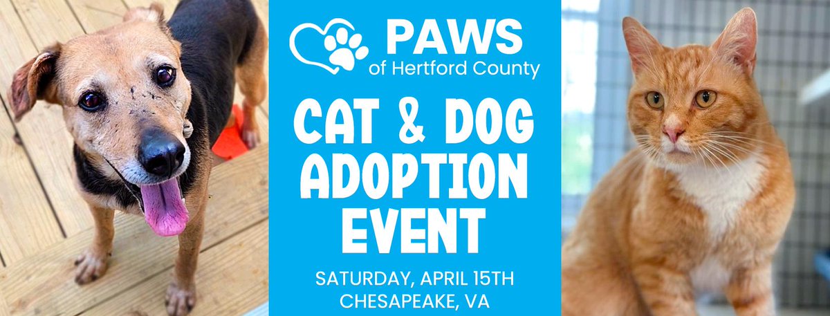 DianeLegacy1's tweet photo. Today could be the day a shelter pet finds its forever home. 🐶❤️🐱

Petsense’s Fall Adoptathon is happening today, with a goal of 1,200 adoptions nationwide.

Shelter pet or breeder which do you choose? 👇

#PetAdoption #Dogs #Cats #AnimalRescue https://t.co/Fz0PvxIGZl