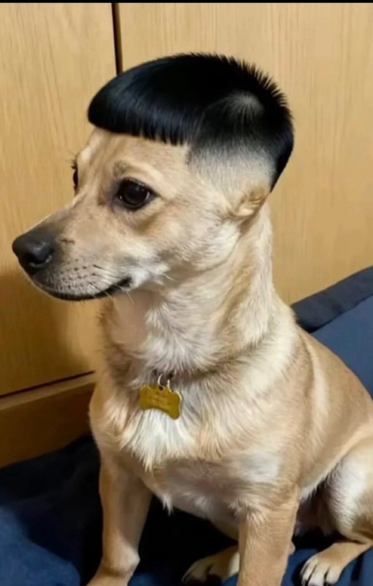 tameimpraga's tweet photo. Pensando em cortar o cabelo assim https://t.co/7ydbSdw7yE