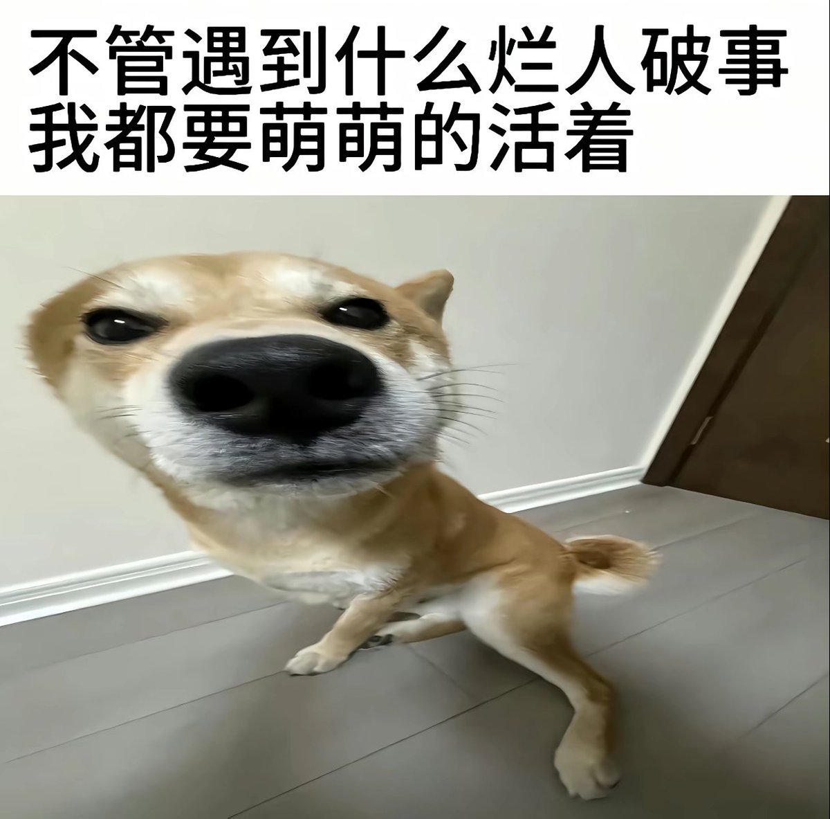 aoaong7's tweet photo. https://t.co/xIq73Rsf7c