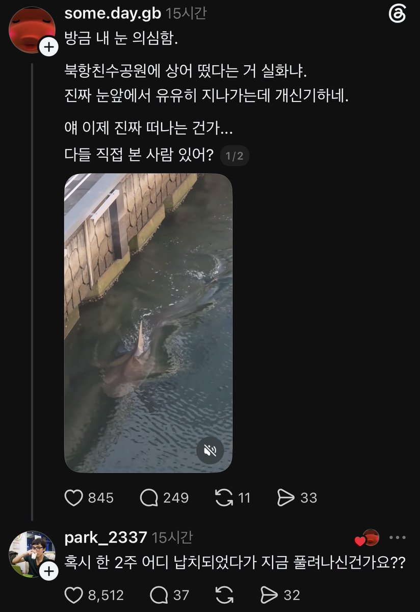 adalapark's tweet photo. 스레드 신기하네 https://t.co/CkGd81c84A