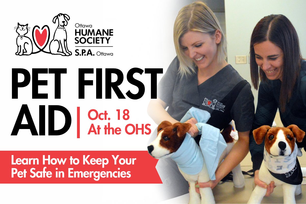 ottawahumane's tweet photo. Accidents happen, but with the right knowledge, you can stay calm and confident when it counts. Register for our Pet First Aid course and learn how to handle pet emergencies like cuts, burns, choking and more.

Learn more and register today: https://t.co/zO1EyphtpB https://t.co/anwp8fwmDW