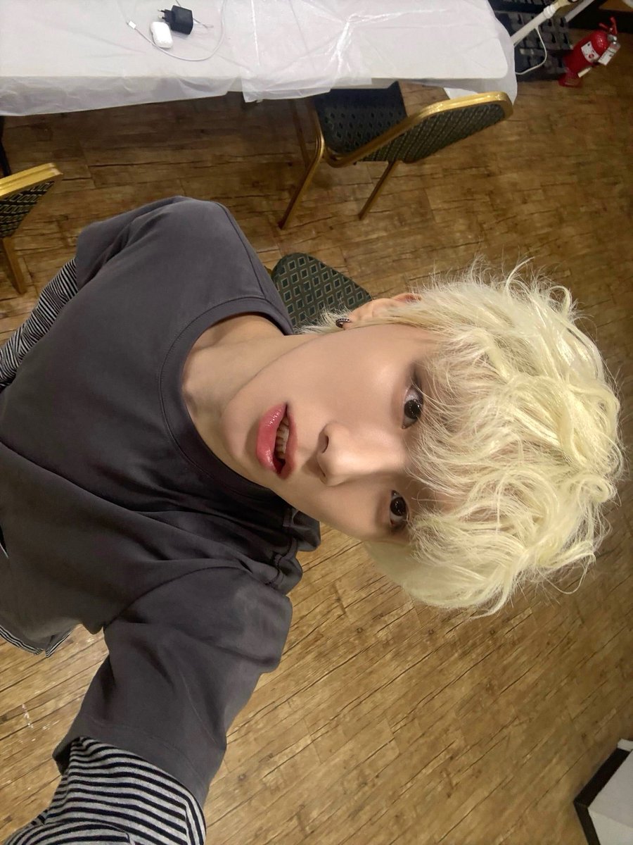 mysanihani's tweet photo. 복슬 강아지 너무 귀엽다..// https://t.co/xk09sXtl97