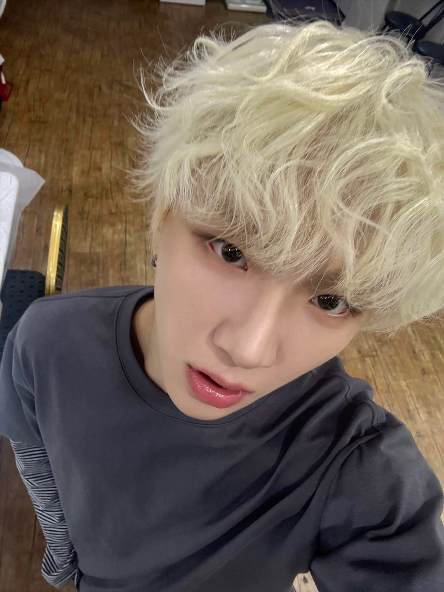 mysanihani's tweet photo. 복슬 강아지 너무 귀엽다..// https://t.co/xk09sXtl97