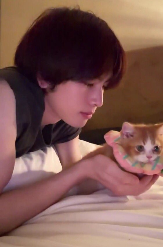 xwinxult's tweet photo. santa lagi main sama felix kecilnya terus divideoin, awas aja lupa dikirim ke orang yang lagi di chiang mai sana 👀
nanti ada yang kangen berat lho di sana 🐱💌 https://t.co/c68352NrdR