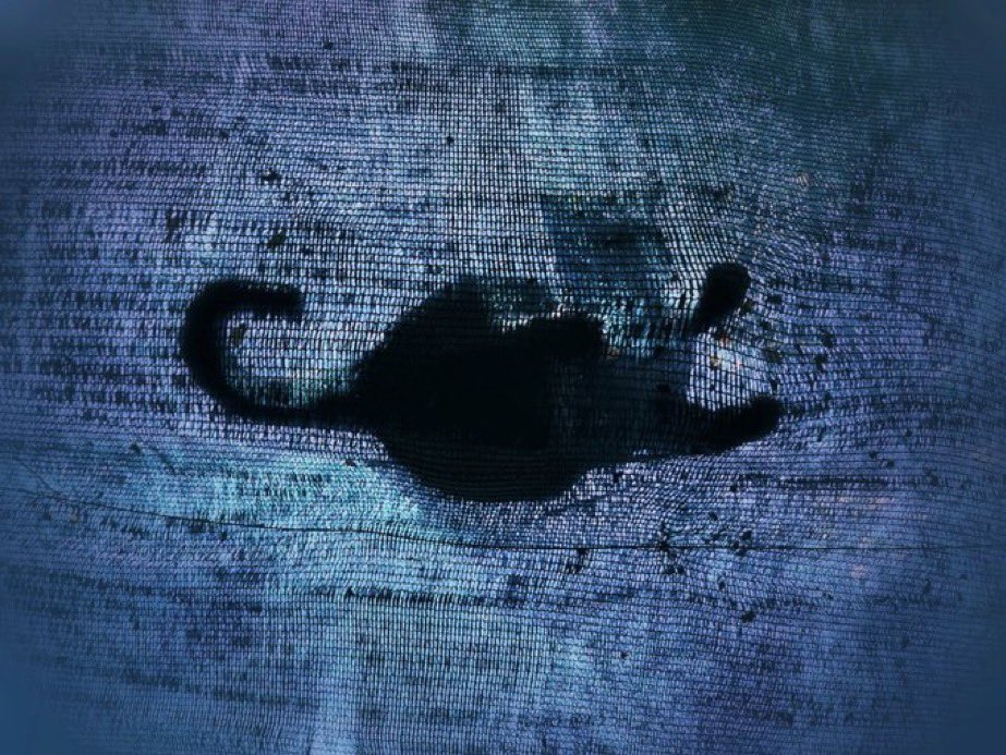 Curiosityproo's tweet photo. 🚨: Chinese scientists set a world record, keeping a quantum 'Schrödinger's cat' alive for 23 minutes. https://t.co/hOLUSx4eA2