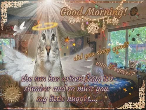 Senolle317's tweet photo. @startwixie morning! https://t.co/JVD2LQwzfk