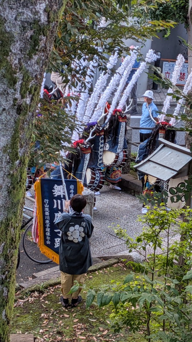 kusa_moc_chi's tweet photo. 新宿西向天神社にて
行山流舞川鹿子躍さん・東京鹿踊さん

久しぶりのおシシ養分補給…
特別アンコール？もあり大充実であった🍀 https://t.co/vBIBfWjyEm