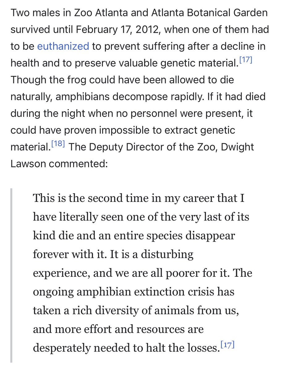birdsoftoday's tweet photo. although i don’t crosspost tweets from my daily herp account often, i think this is a very important species to read about. there is so much we stand to lose if we don’t start caring about conservation. https://t.co/j8XCwyZdHN