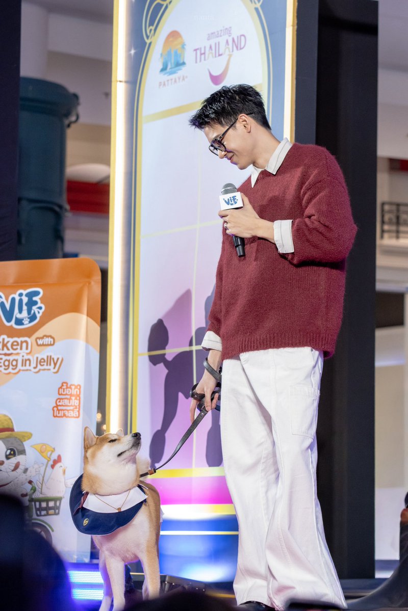 nnnantaaa's tweet photo. ป๊าค้าบบบบบบบ

#VIFxYWZSatDogEnjoy #yinyin_anw 
#nantapics https://t.co/4cijgMrKrR