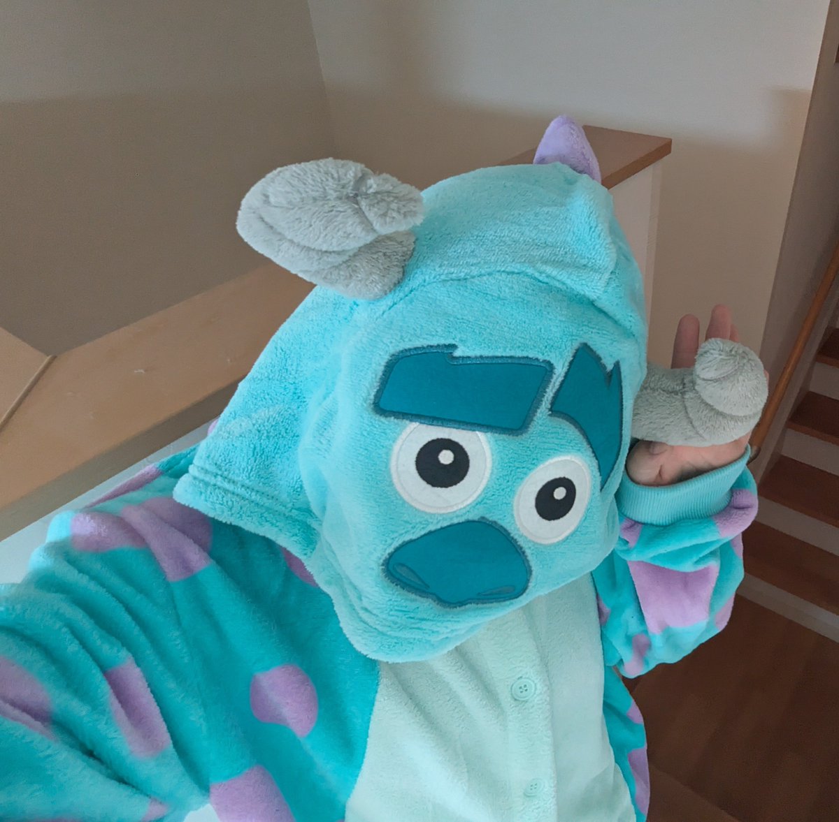 thathadayo's tweet photo. 私の新しいパジャマ！！
モンスターズ・インクのサリー！
可愛くない？このパジャマ https://t.co/WMV4neikO5