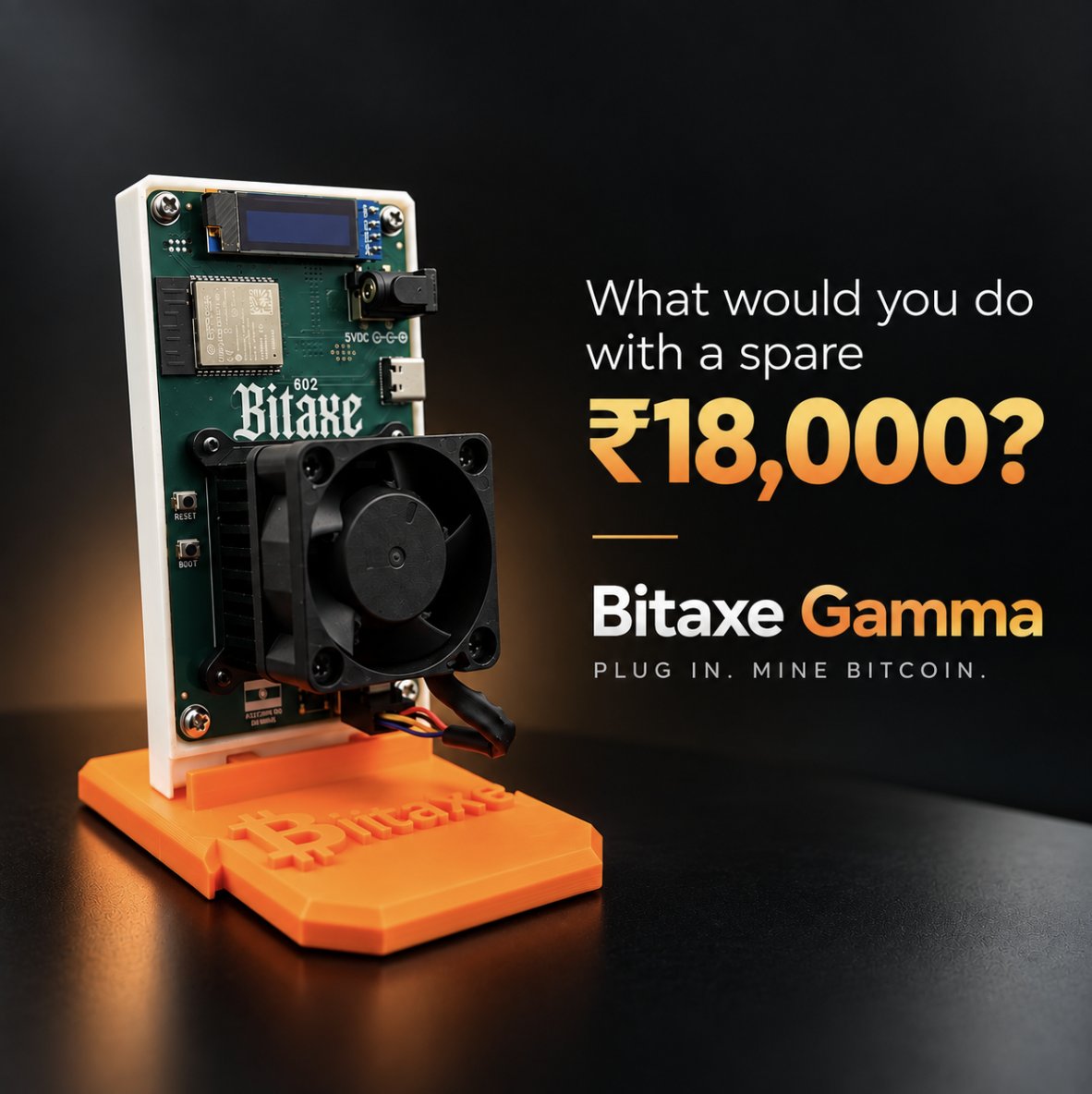 BitashaIndia tweet picture