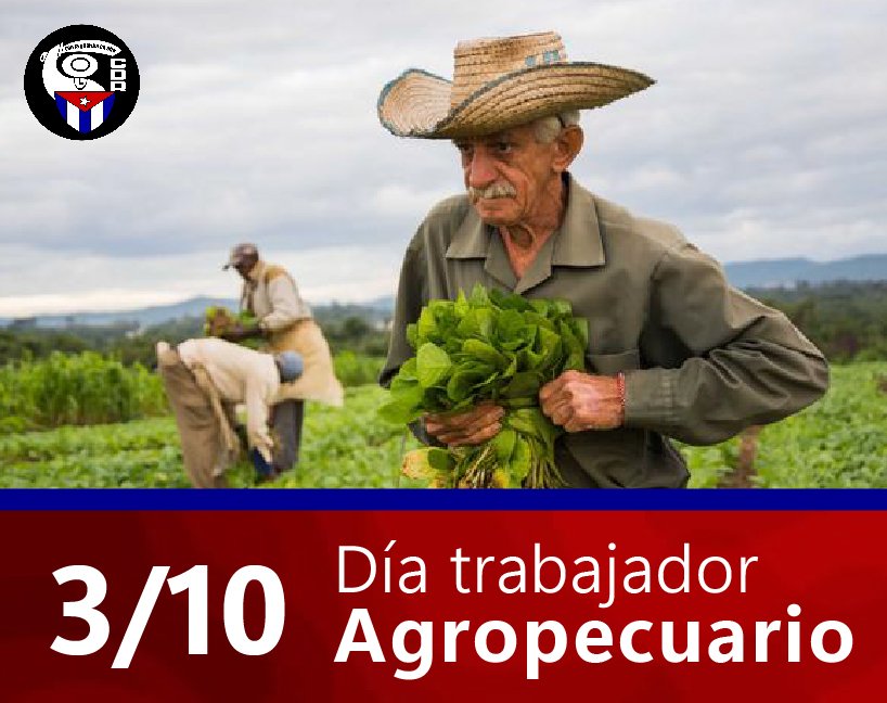 cdr_cuba's tweet photo. 🥳👨‍🌾Muchas felicidades a todos los que integran el sector agropecuario, en especial a aquellos cederistas que se han sumado al movimiento #CultivaTuPedacito.

🫂Reciban el abrazo de la organización de la familia cubana.

#CDRCuba #Cuba #SomosDelBarrio https://t.co/ugf6haLY66