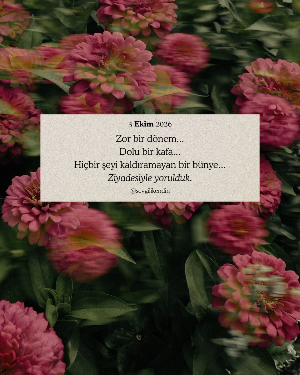 nuresrayldz's tweet photo. Anlık https://t.co/H61QvwblWL