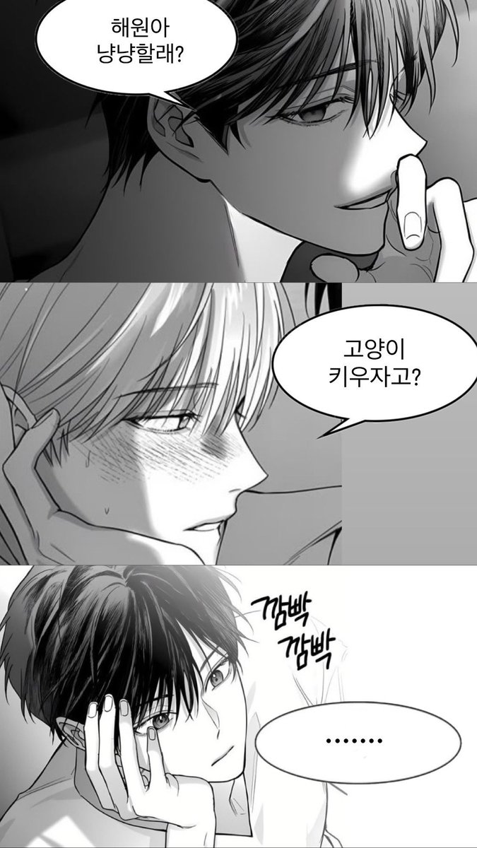 90yang2chego's tweet photo. 냥냥하세요 ~ ᓚᘏᗢ https://t.co/IC5uFrp3mA