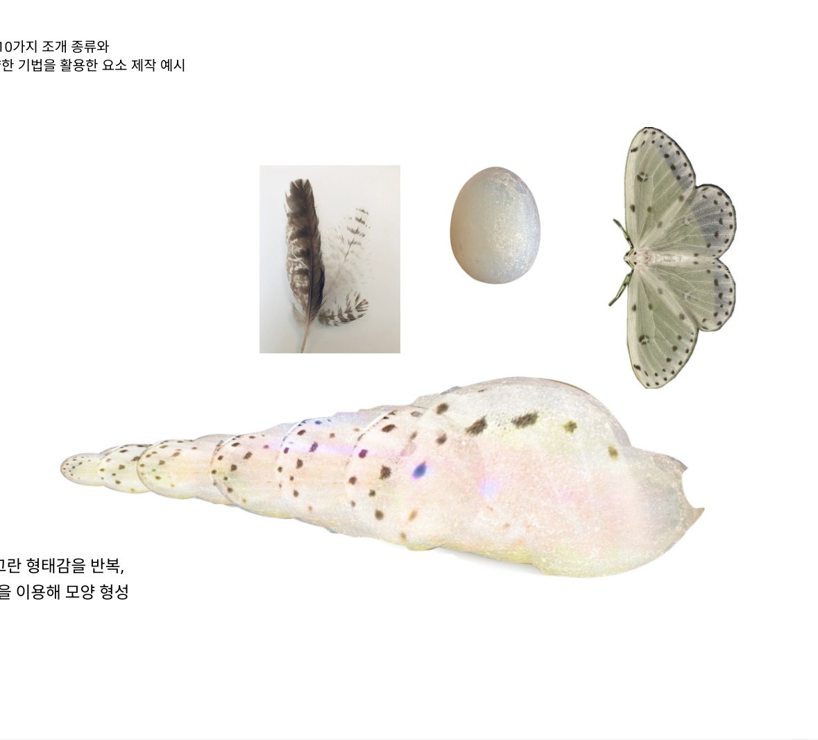 andmypony's tweet photo. 한참 몽타주 ... 라는 재능의 영역이 너무 부러워서 과제로 제작했던 포토 몽타주. 결국엔 재능을 못이겨내고 몽타주 너맞아.? 스러운 애들을 만들었는데 이게머냐면 3-4개의 사진만 이용해서 조개를 만든 거에요 ⁃ ⩊ ⁃ .. https://t.co/l95ppfHEMJ