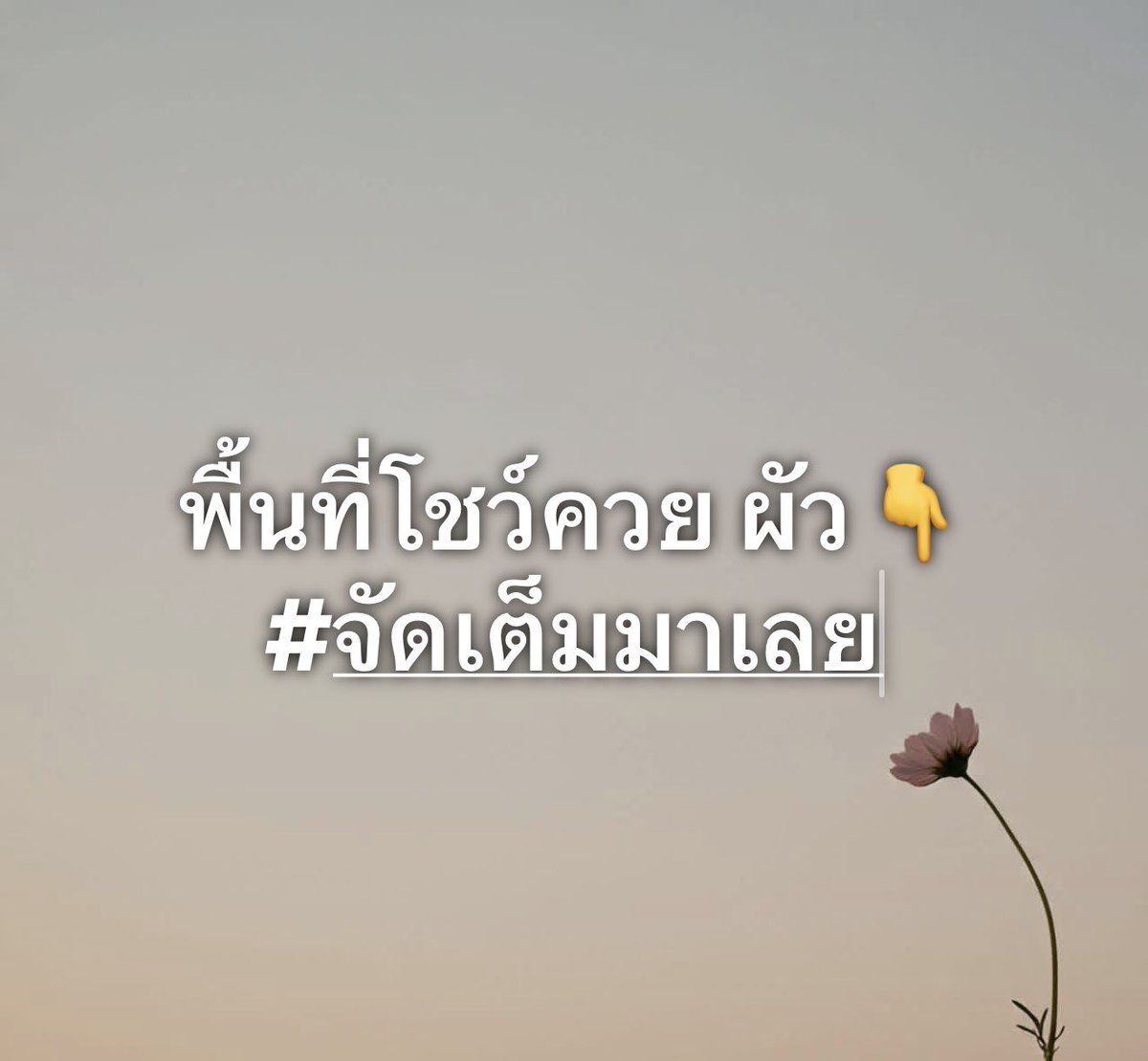jeammeungpak's tweet photo. https://t.co/eth1rrAFiF