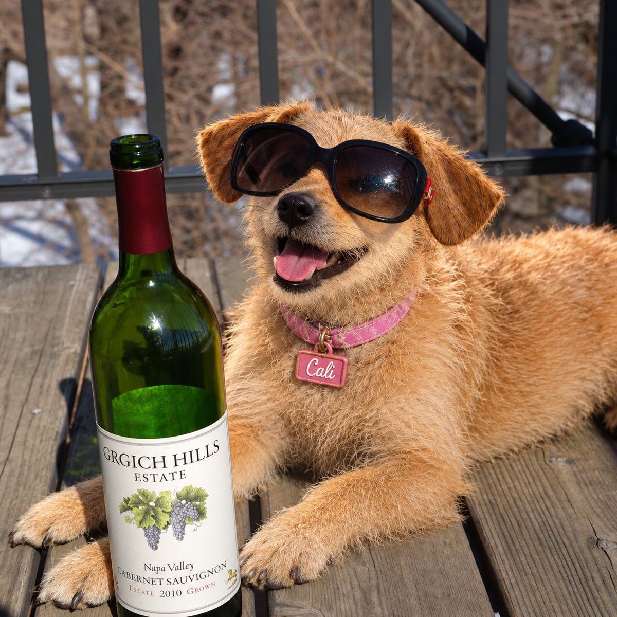 CaliTheFanpage's tweet photo. A glass once in a while wouldn’t hurt a fly. https://t.co/3UjHiYIhDB