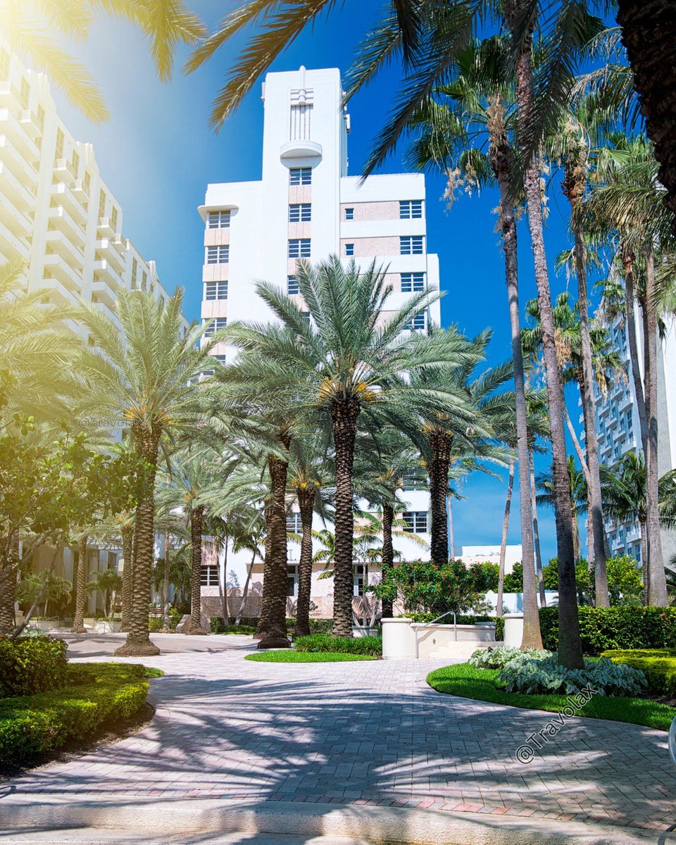 travolax's tweet photo. Nobody leaves Miami Beach without wanting to come back. https://t.co/9K8Nwexyb7