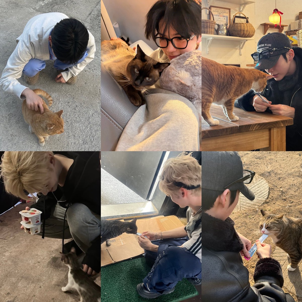 svnghanbinfan's tweet photo. sung hanbin and kitty cats🐈🥹🤍 https://t.co/mhtOiBbnLv