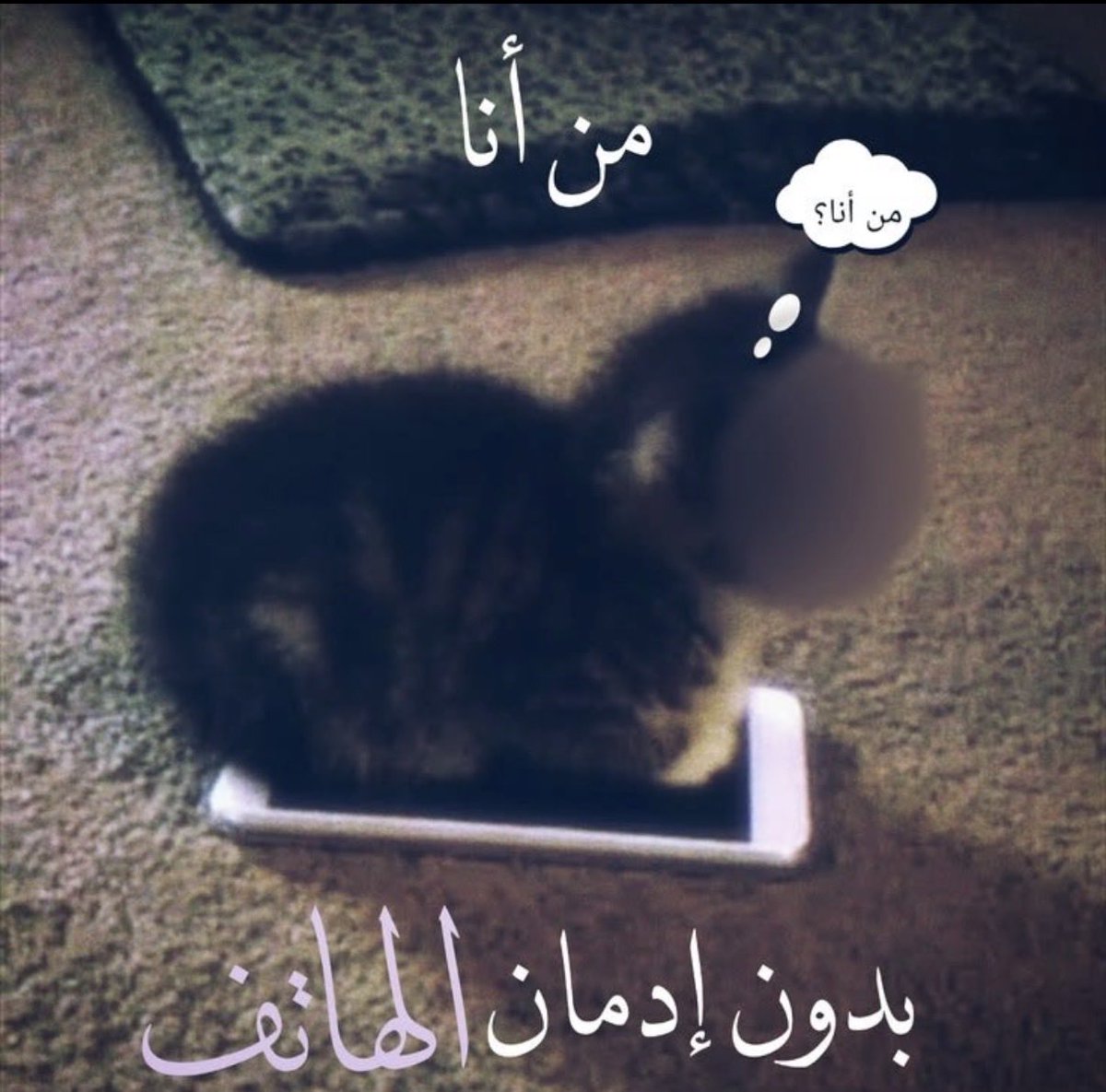 Ikwp9's tweet photo. حصلت صوره تناسبني https://t.co/Hbj6p4gGHm