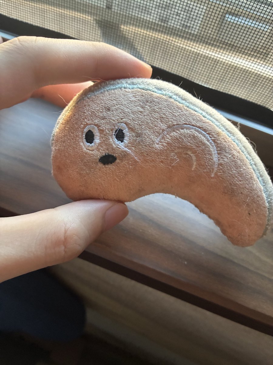 67K8k's tweet photo. これ、うちの子のお気に入りおもちゃです
噛むおもちゃをとりあえず買おうとダイソーで買ってみたらすごく食いついた https://t.co/Q1vIkcc9JK