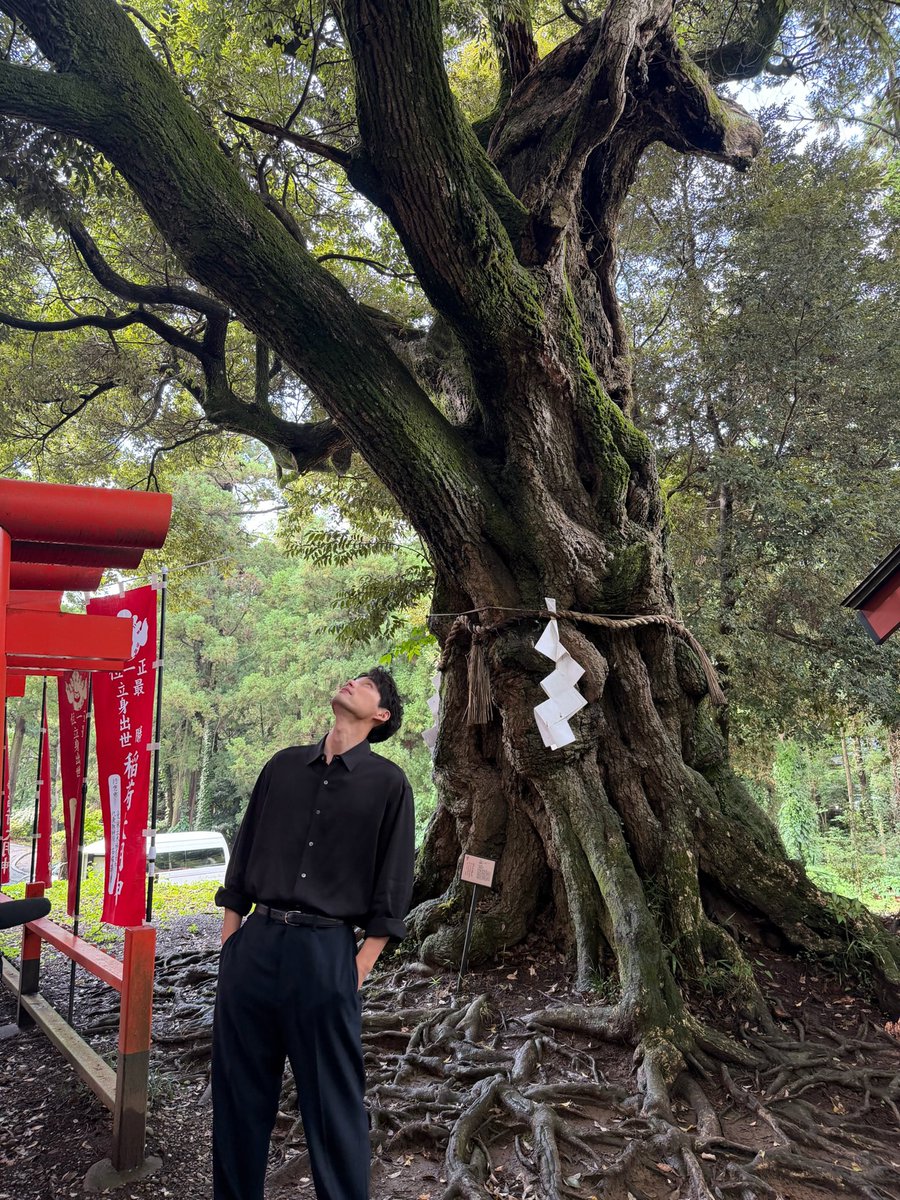 fukushi_staff's tweet photo. ＼出演情報📺／

10月4日(日)
9:25頃〜 生出演⏰
NTV「#シューイチ 」
※生放送のため、変更の可能性がございます。

12:45〜14:00 放送⏰
NTV「#メシドラ」

14:00〜15:00 放送⏰
NTV「#timeleszファミリア」

22:30〜23:25⏰
NTV「#ハイドアンドシーク」

 #福士蒼汰 https://t.co/piwhy79WEV