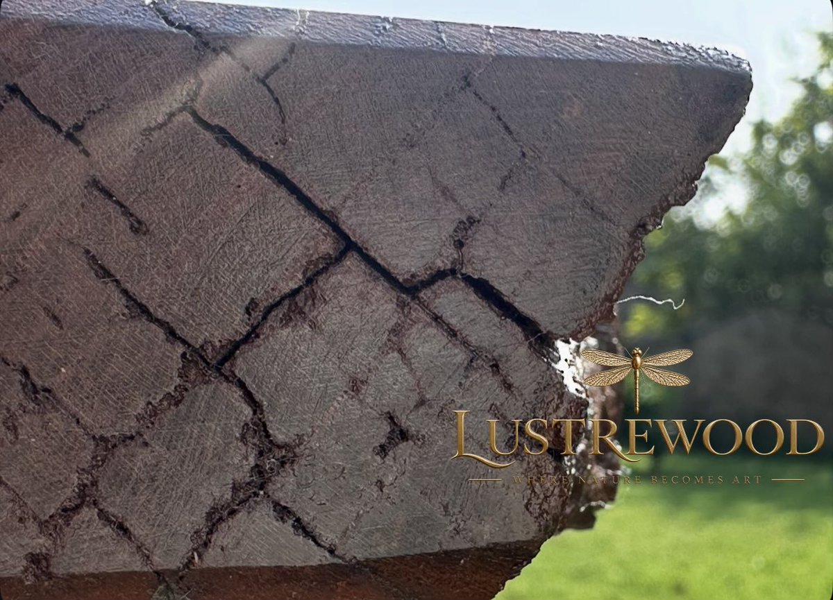 rahimkhan_x's tweet photo. dear friends, 

my mrs and i have started a small venture called ‘Lustrewood | Where nature becomes art’, we are offering wood crafts ——but with a tinge of difference ! 

(the photos attached are originals clicked by us) 

@MinmajMarwat @meherbokhari @ShandanaGulzar https://t.co/7AerQiSw6F