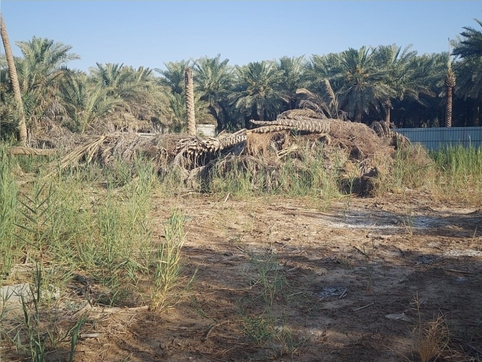 gk98ba's tweet photo. حصر المزارع المهملة بالسعودية
و«البيئة» تمهل الملاك شهرين للتسجيل https://t.co/snFMqNVEui
