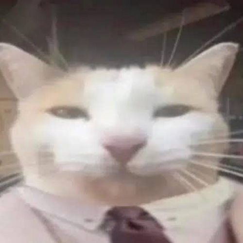 CatIsMyQuant's tweet photo. @zachvierrr @artsch00lreject @cat_maxxxed This is my quant https://t.co/BYwLi4eReJ