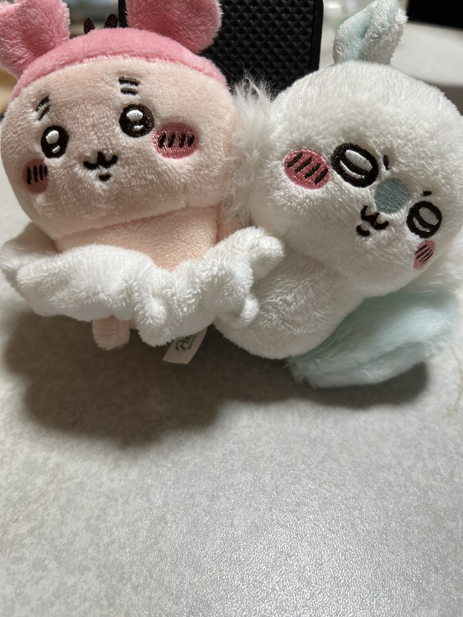neru_0226's tweet photo. なんか髪留め用のモモンガあるんだけど
なんかカニちゃん挟んだらめっちゃいいじゃん https://t.co/uhizccHSmp