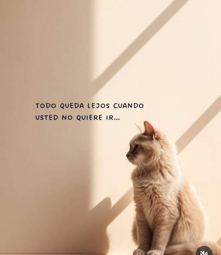 marialabarca23's tweet photo. https://t.co/SmZV09bV74
