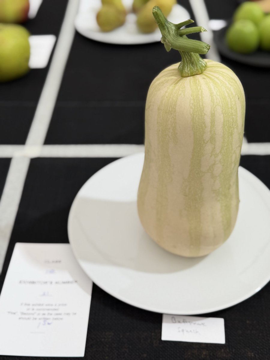 medwynsofangles's tweet photo. Judging the RHS Autumn Fruit vegetable and herb show at Hyde Hall Gardens in Essex. This area has, and still is suffering from the extreme hot weather we had during the Summer months. However I was amazed to see that the quality on offer well exceeded my expectations. The Squash class was the best ever with 15 entries, loving the warm warm weather.