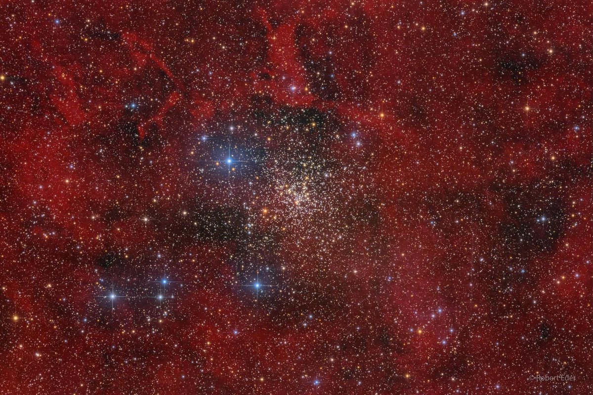 AstroBin_com's tweet photo. AstroBin's Image of the Day: "NGC 6819 - The Foxhead Cluster" by Robert Eder

https://t.co/IyG1DDk2Qb

#astrophotography https://t.co/Jdgv4Q0tMA