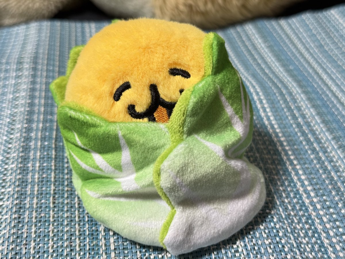 kosi0itame's tweet photo. ホニャちゃん！！！念願の白菜だよ！！ https://t.co/EI6AHDOly5