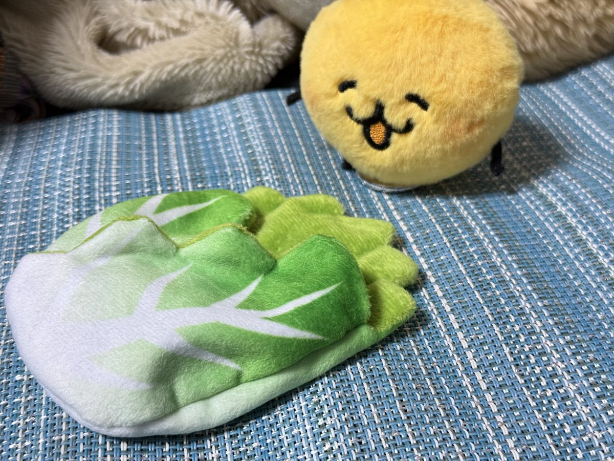 kosi0itame's tweet photo. ホニャちゃん！！！念願の白菜だよ！！ https://t.co/EI6AHDOly5