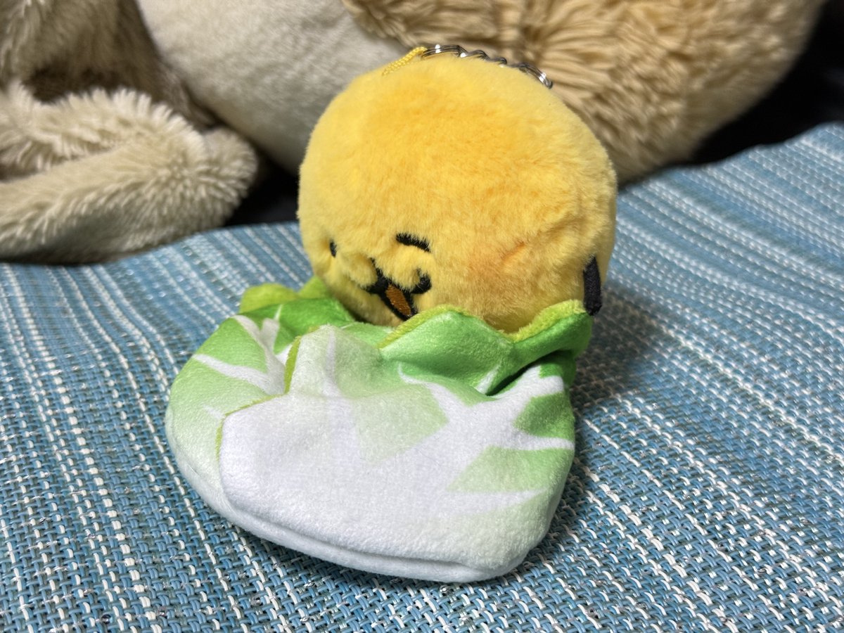 kosi0itame's tweet photo. ホニャちゃん！！！念願の白菜だよ！！ https://t.co/EI6AHDOly5