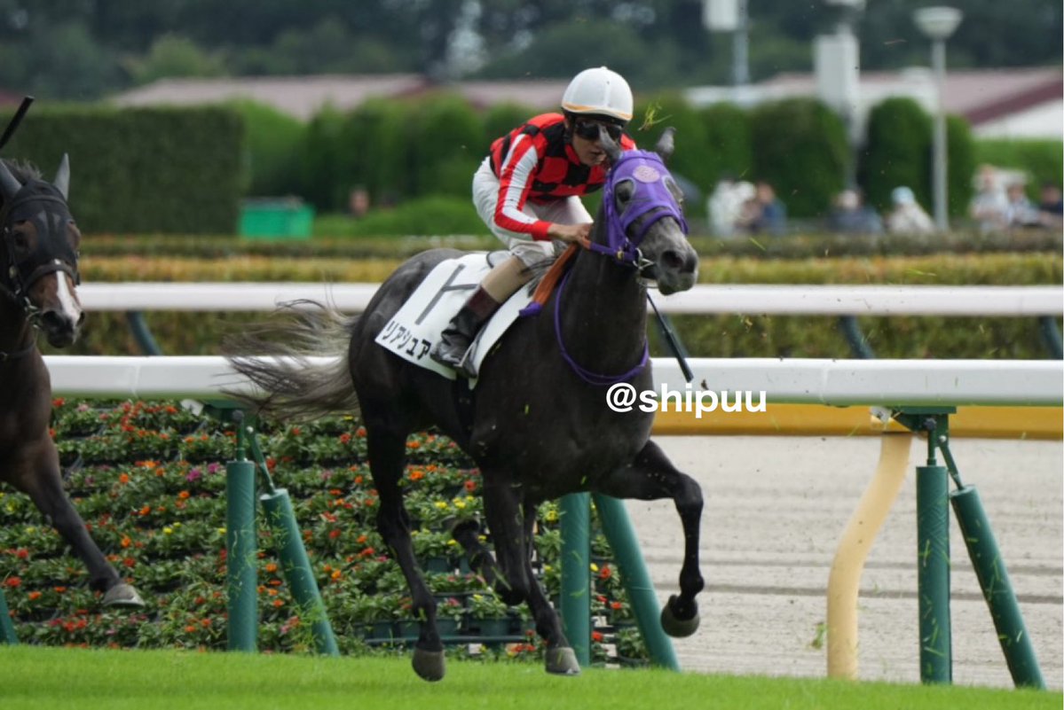 shipuu_'s tweet photo. 26/10/03 東京競馬場　3R 2歳新馬戦

デビュー、おめでとう(꒪ˊ꒳ˋ꒪)
インから伸びてきたー
3着٩(๑ᵒ̴̶̷͈᷄ᗨᵒ̴̶̷͈᷅)و
#リアシュアー https://t.co/X4uKg8oYfz