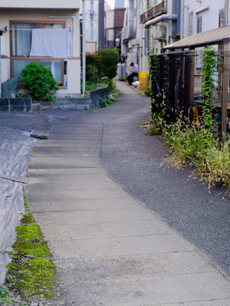 hondaso's tweet photo. 稲田堤駅近くを流れる、大丸用水三軒家堀の蛇行する暗渠。これより上流は、駅前の目抜通りの歩道になっていて、大勢の人が暗渠上を行き交うが、足元にはしっかり多摩川の水が流れていることに気がつく人は、ほぼいないだろう。
（川崎市多摩区）

#日々の暗渠 https://t.co/iFQ2VlMq8P
