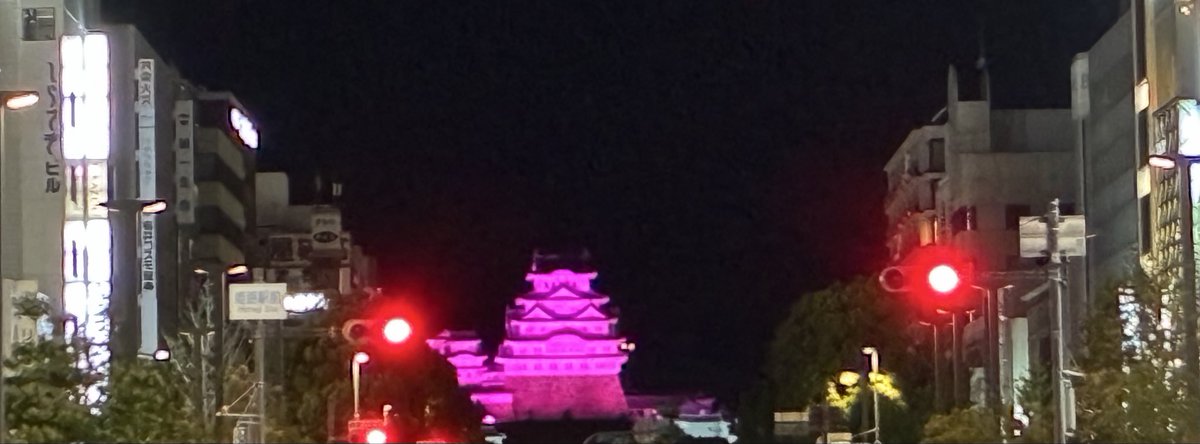 equal3156's tweet photo. 姫路城(状態異常:毒) https://t.co/jPYhVNVs8l